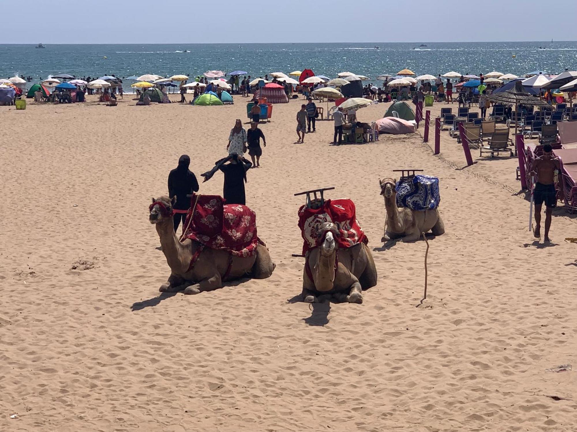 Luxury Apartment In Agadir Bay Экстерьер фото